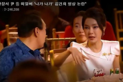 韩国夫人在线观看,穿越时空的浪漫邂逅